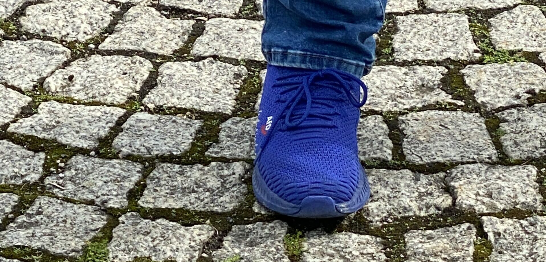 Blauer Turnschuh in AfD-Dekor auf Pflastersteinen