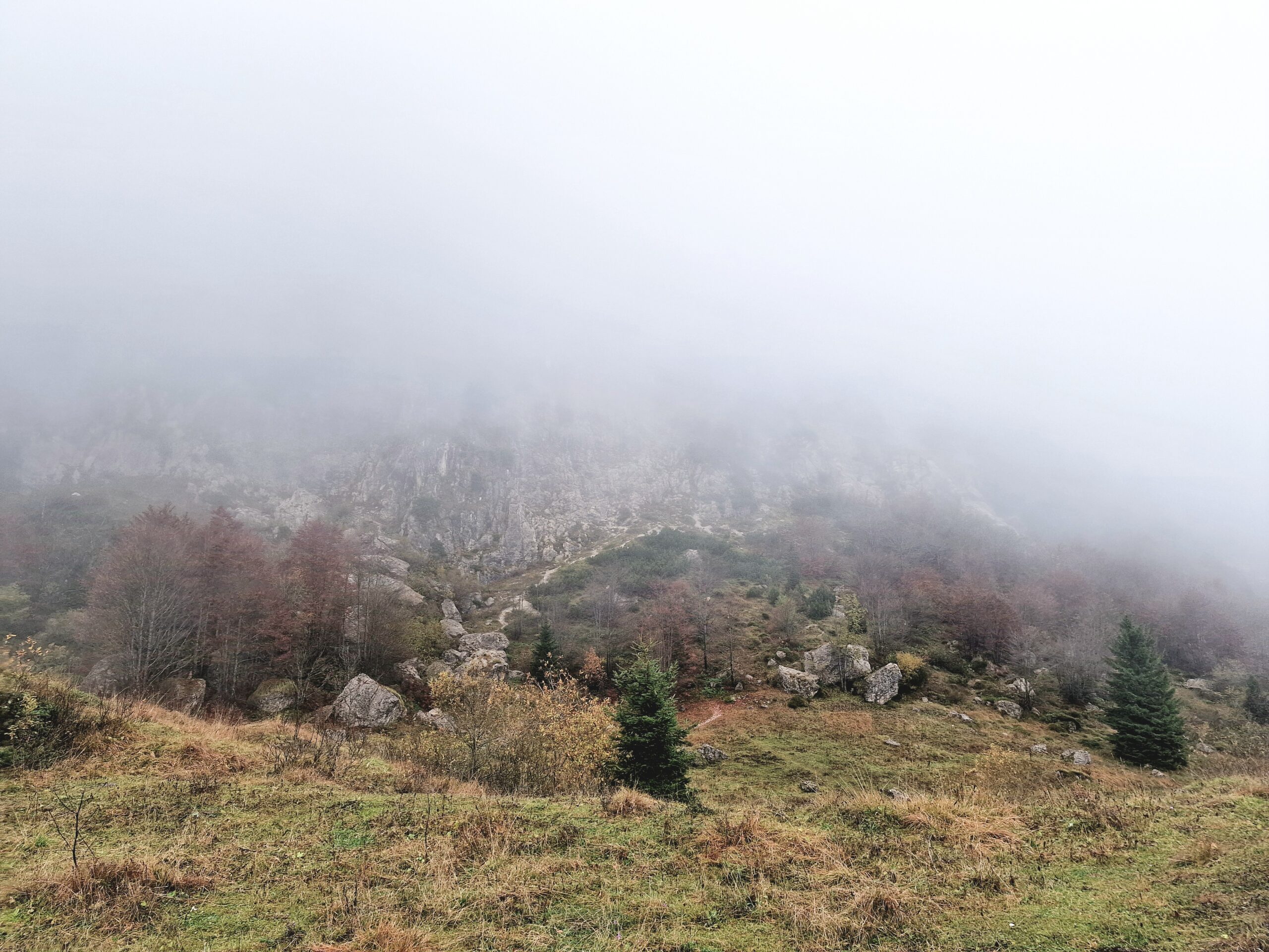 Picture of a misty mountain scene