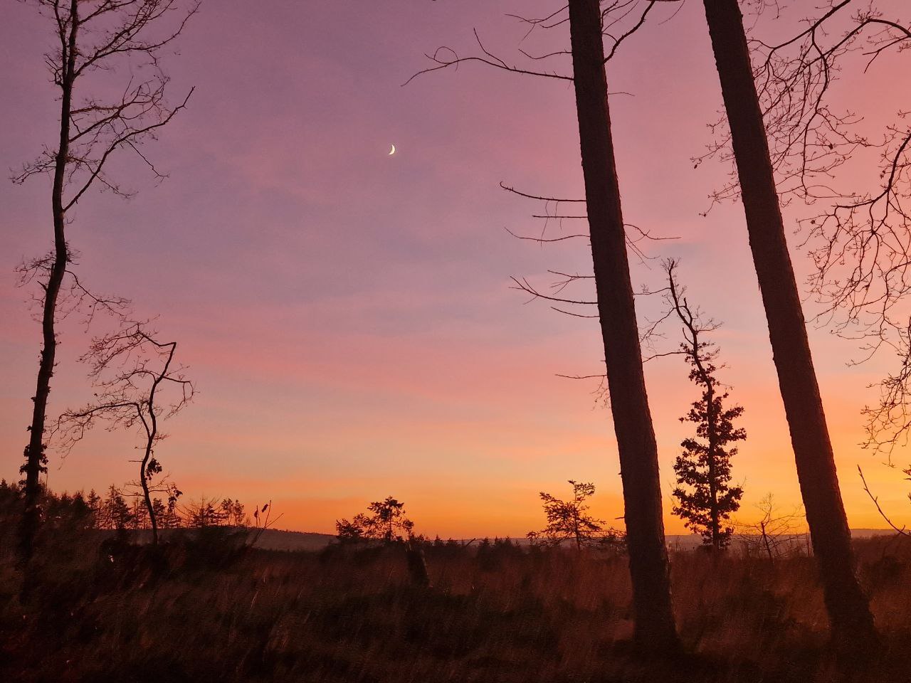 Foto: eigene Aufnahme